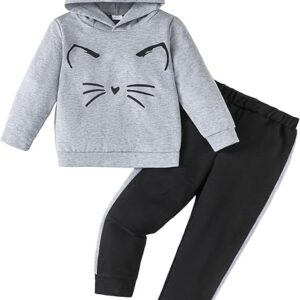 Winter Girl Outfit Toddler Girl Clothes (Grey)